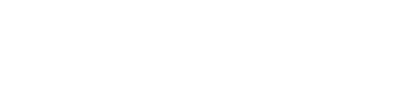 logo footer tsa 1